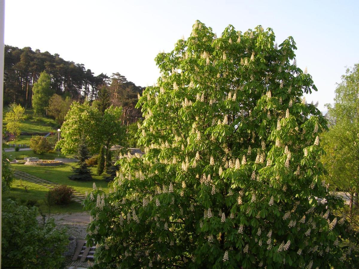 Belogradchik View Apartment المظهر الخارجي الصورة